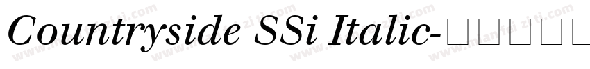 Countryside SSi Italic字体转换